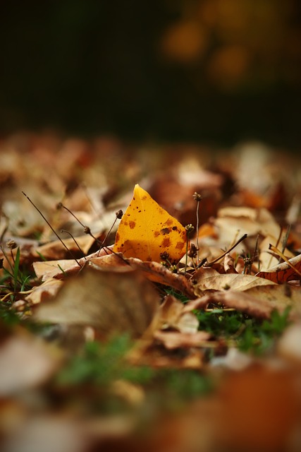 辽宁90-79合肥2喜2忧！布朗赵森展价值，篮板被虐，姜宇星无球权