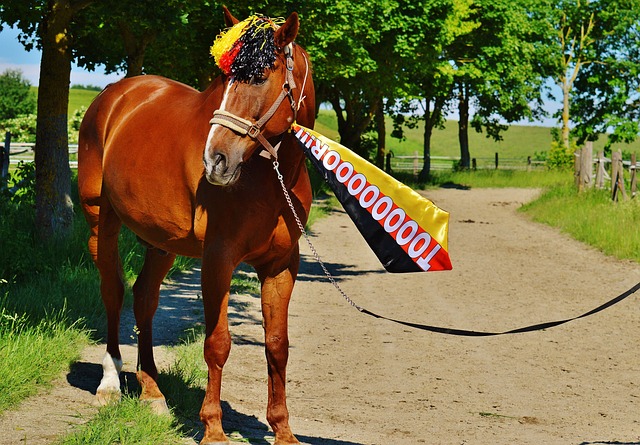 团队合作精 团队合作精