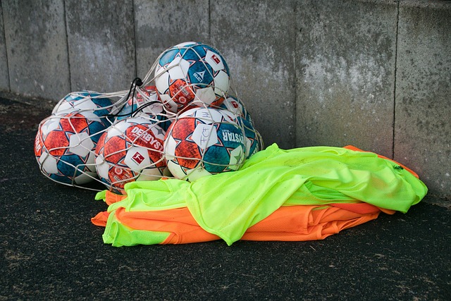 谢泼德需要 谢泼德需要