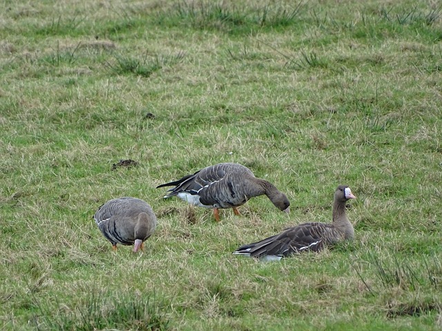 这些比赛不 这些比赛不