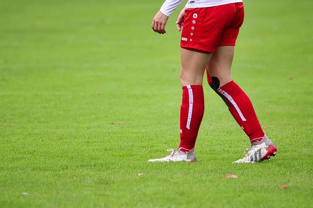 无论是从球 无论是从球