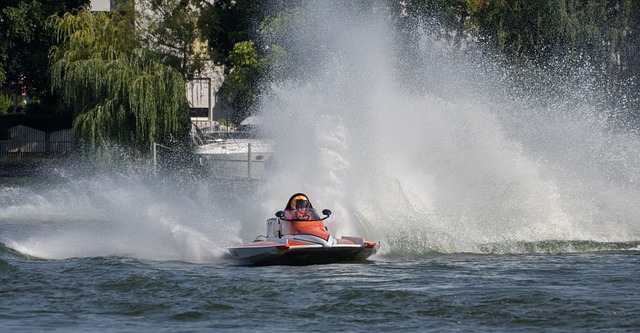 新血液的大 新血液的大
