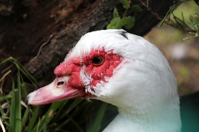 高的触达率 高的触达率