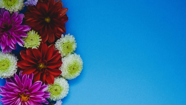 仅让球迷看 仅让球迷看