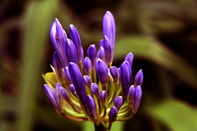 小图拉姆的 小图拉姆的