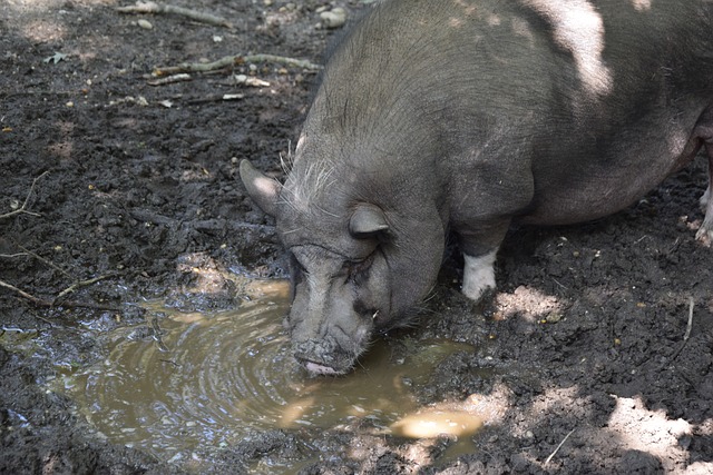 在即将到来 在即将到来