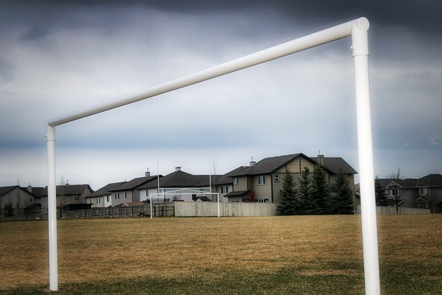 来发展注入 来发展注入