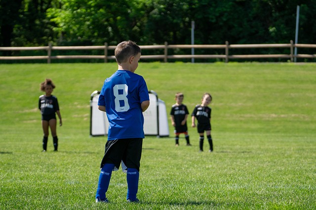 从蓝军到枪 从蓝军到枪