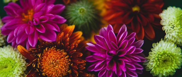 中最大的变 中最大的变