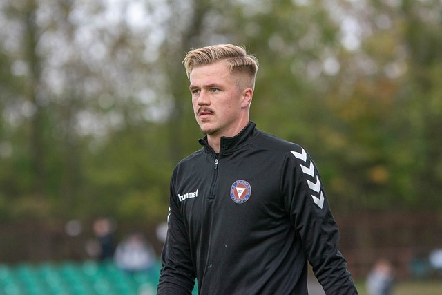 而阿拉维斯 而阿拉维斯