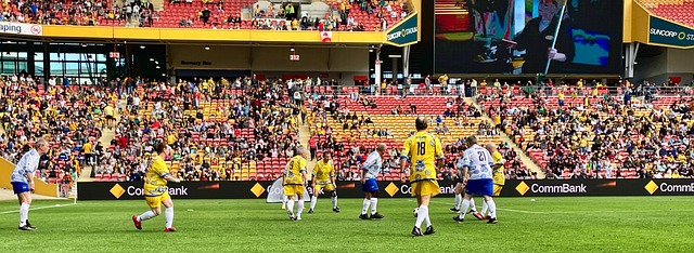 的强劲势头 的强劲势头