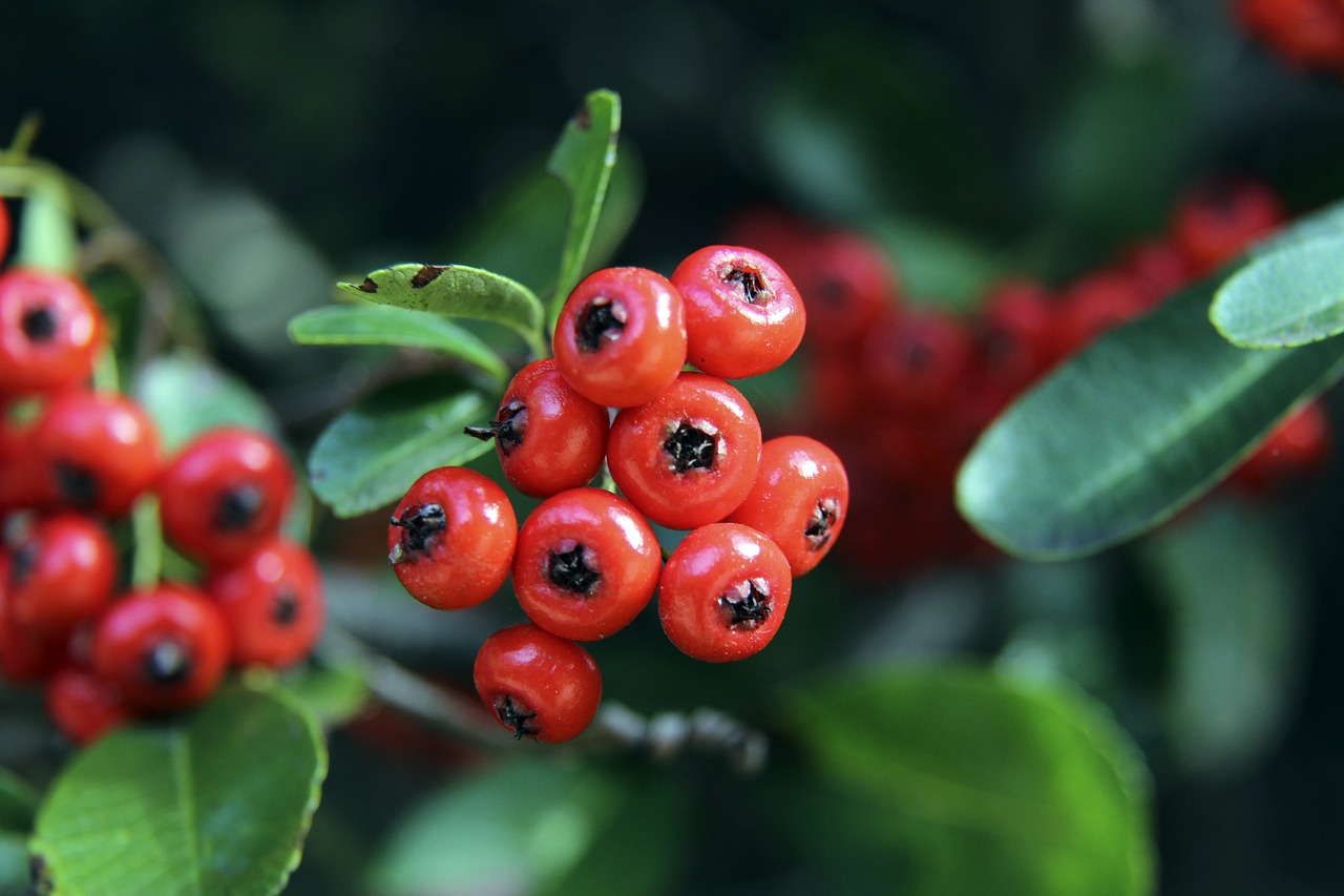 韦德与波什 韦德与波什